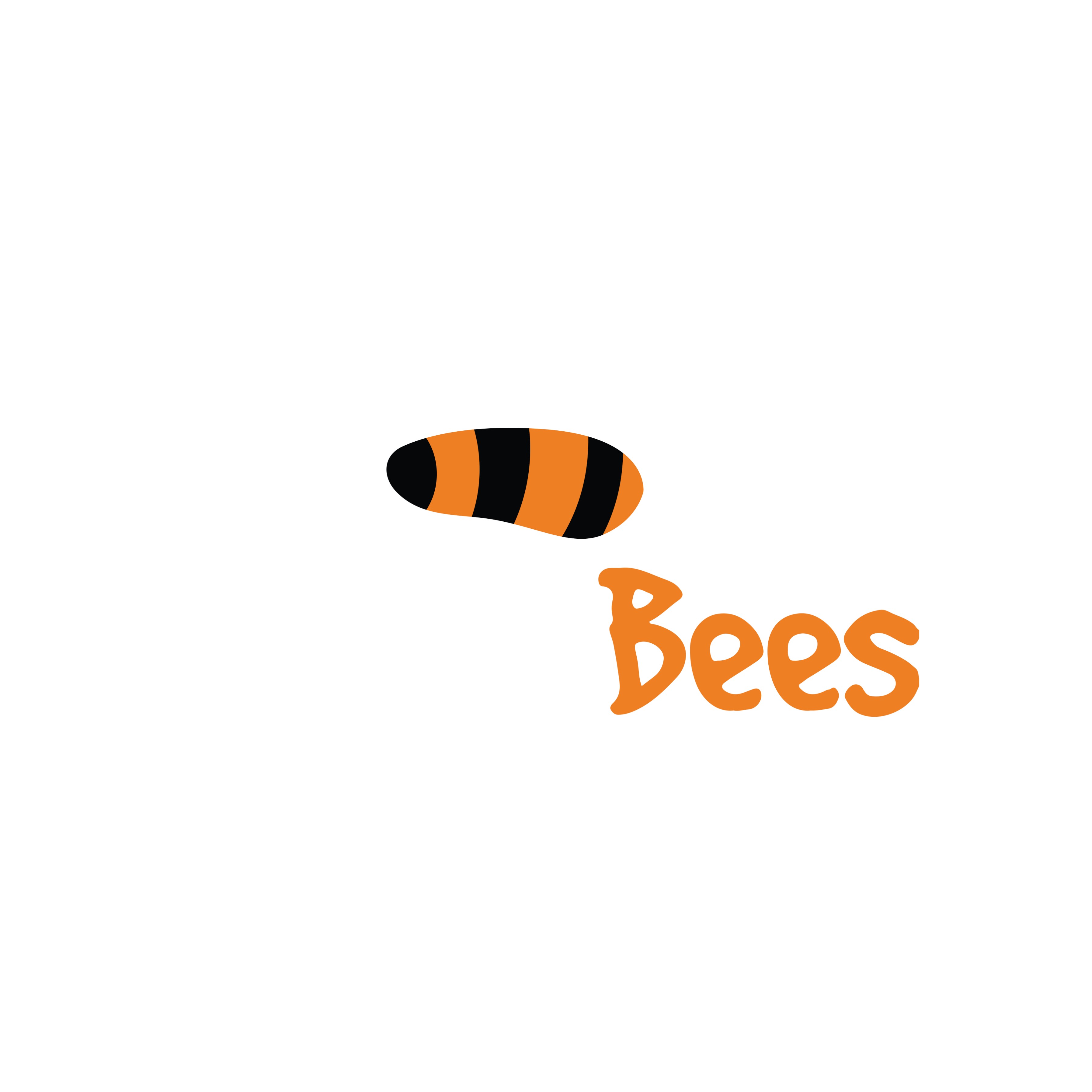 our-services-flyingbees-incorporation